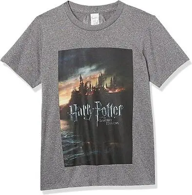 Buy HARRY POTTER Boys Charcoal Heather Small Deathly Hallows Poster T-Shirt Tee NEW • 9.76£