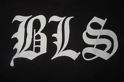 Buy 2003 BLACK LABEL SOCIETY S.D.M.F Concert Tour (MED) T-Shirt Zakk Wylde • 38.61£