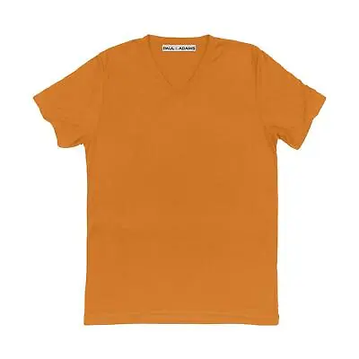 Buy Men’s V Neck T Shirt Regular Fit Top Lot Short Sleeve Plain Tee 100% Cotton UK • 7.99£