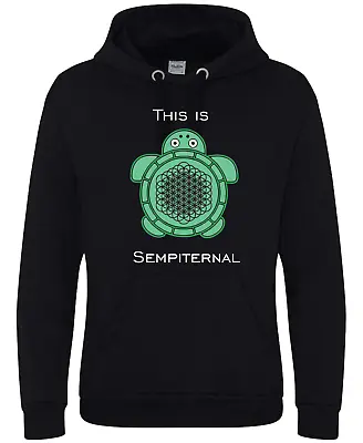 Buy This Is Sempiternal Heavyweight Hoodie Hooded Sweatshirts Bring Me The Horizon • 30£