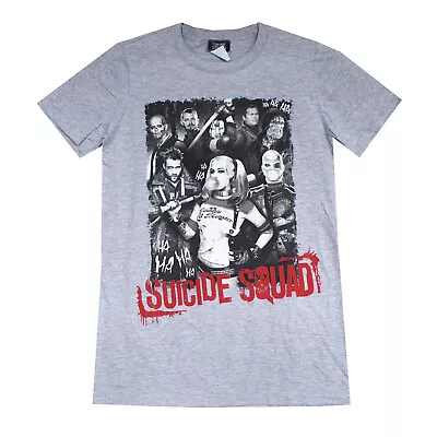 Buy Licensed Mens DC Comics SUICIDE SQUAD  T-SHIRT Size Small XL Grey TOP • 5.99£