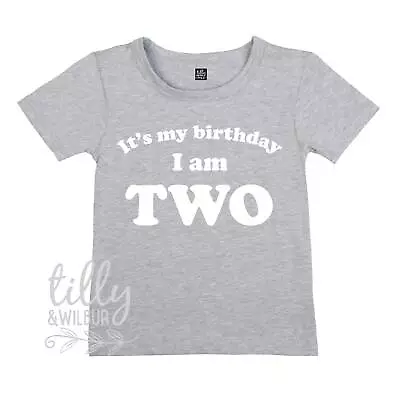 Buy It's My Birthday I Am Two T-Shirt, I Am Two Shirt, 2nd Birthday T-Shirt, Second • 12.65£