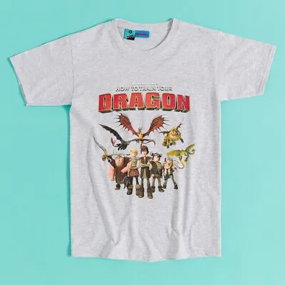 Buy Official How To Train Your Dragon Group Grey Marl T-Shirt • 19.99£
