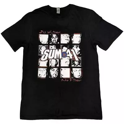 Buy Sum 41 AKNF Grid European Tour 2022 Back Print & Ex-Tour T-Shirt SIZE - L • 11£
