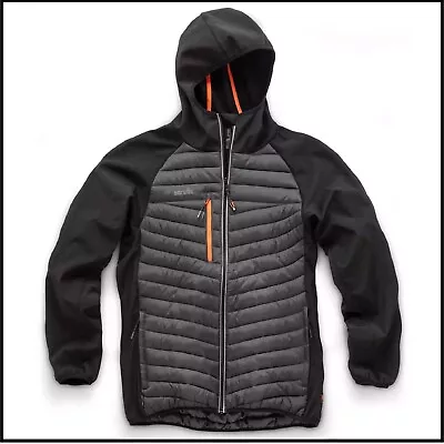 Buy Scruffs Work Jacket - Trade Thermo Coat - Lightweight With Insatherm Insulation • 41.99£