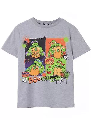 Buy Teenage Mutant Ninja Turtles Grey Short Sleeved T-Shirt (Unisex Kids) • 10.99£