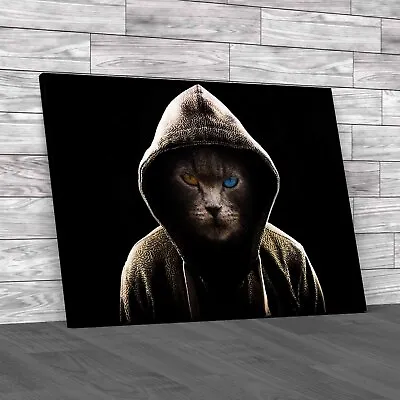 Buy Cool Angry Cat In Hoodie Unleash The Attitude  Original Canvas Print Large • 14.95£