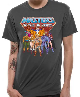 Buy Official Masters Of The Universe HE-MAN Grey Unisex T-Shirt Tee NEW & IN STOCK • 12.95£