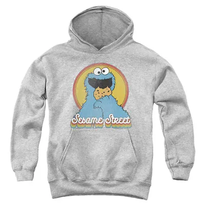 Buy Sesame Street Kids Hoodie Cookie Monster Rainbow Heather Hoody • 29.92£