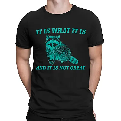 Buy It Is What Funny Vintage Drawing Raccoon Meme Mood Mens Womens T-Shirts Top #NED • 7.49£