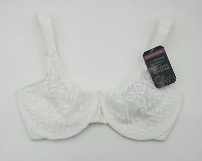 Buy Olga Sheer Leaves Collection Underwire Bra 36DD White #35519 New • 22.19£