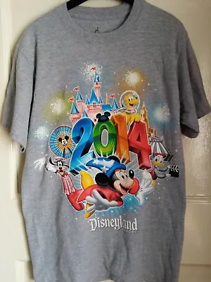 Buy T-Shirt Disneyland 2014 Grey  Resort Walt Disney World Mickey Mouse Size Small • 5.99£
