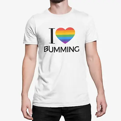 Buy Novelty Funny Rude GAY/ LGBT/ Pride -  Rainbow I Love T SHIRTS • 8.95£