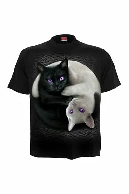 Buy SPIRAL DIRECT YIN YANG CATS T Shirt/Funny/Cat/Kitten/Cute/Funny/Unisex/Top/Tee • 17.99£