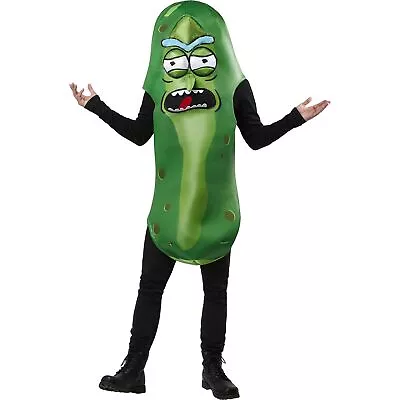 Buy Rick And Morty Unisex Adult Pickle Rick Costume BN5780 • 47.09£
