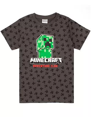 Buy Minecraft Grey Short Sleeved T-Shirt (Boys) • 10.99£