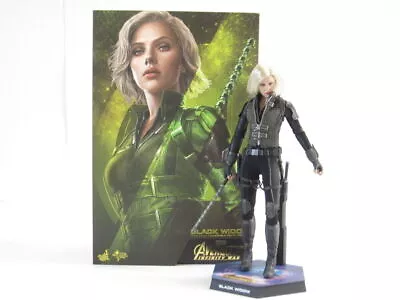 Buy 1/6 Figure Hot Toys Movie Masterpiece Marvel Avengers Infinity War Black Widow • 144.70£