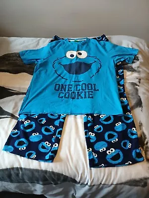 Buy Men's Used Xl Pyjamas Excellent Condition Cookie Monster  • 0.99£