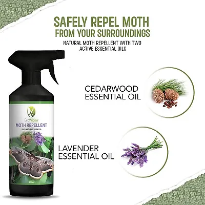 Buy EcoWidow Natural Moth Repellent Spray 500ML For Wardrobes Clothes Alternative To • 8.99£
