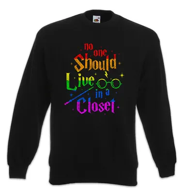 Buy No One Should Live In A Closet Sweatshirt Pullover Harry Fun Gay Pride Potter • 37.14£