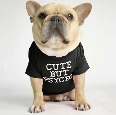 Buy New Black Cute But Psycho Small Dog Pet T-Shirt Fun Halloween Costume Look • 4.99£