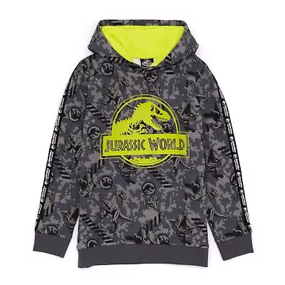 Buy Jurassic World: Camp Cretaceous Childrens/Kids Logo Hoodie NS7648 • 24.29£