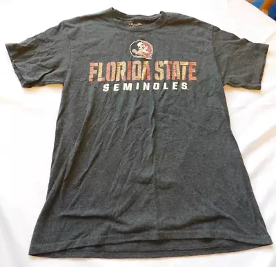 Buy Champion Short Sleeve Florida State Seminoles Size M Medium Women's GUC • 17.23£