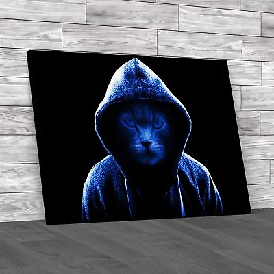 Buy Cool Angry Cat In Hoodie Unleash The Attitude  Blue Canvas Print Large Picture • 14.95£