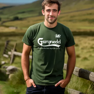 Buy Gwynedd Probably The Best County T Shirt Funny Beer Parody Wales Cymru Gift Top • 13.99£