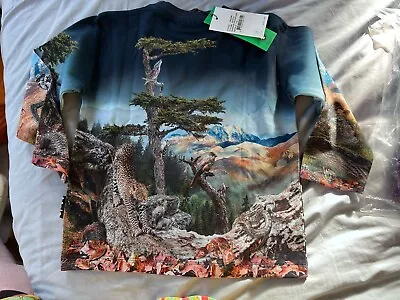 Buy Molo T-shirt 5-6 Jurassic World BNWT    • 12£