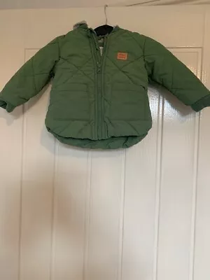 Buy Age 6-9 Months Boys Coat / Jacket Hooded Green -  Pockets Padded • 6.99£