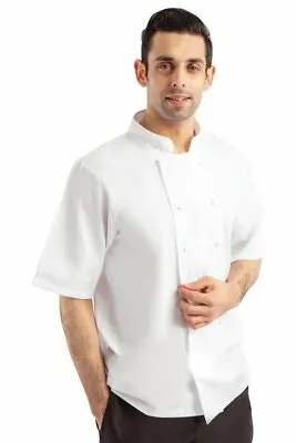 Buy Whites Chefs Jacket Boston Short Sleeve Professional Kitchen Uniform Unisex • 8.95£