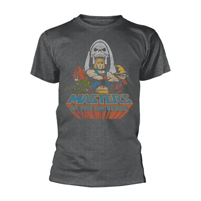 Buy MASTERS OF THE UNIVERSE - TEAM HE-MAN GREY T-Shirt Small • 12.18£