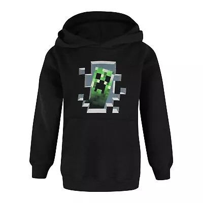 Buy Minecraft Boys Inside Creeper Hoodie NS6451 • 30.59£