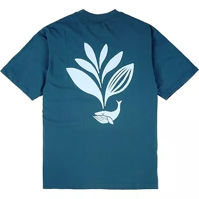 Buy Magenta Whale Plant T Shirt - Blue SML • 23.95£