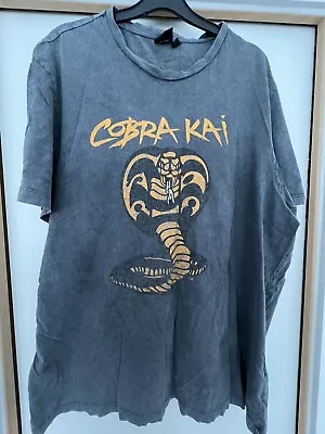 Buy Cobra Kai Official Merch Sony T-shirt Grey Season 4 Karate Kid Miagi Do Karate • 15£