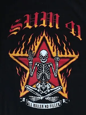 Buy Sum 41 Black Size Large T-shirt • 19.99£