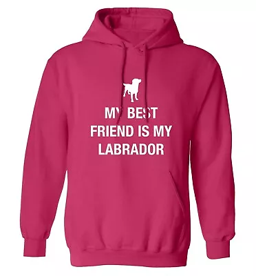 Buy My Best Friend My Labrador, Hoodie / Sweater Animal Pet Puppy Paw Kennel BFF 905 • 25.95£