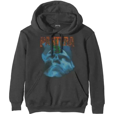 Buy Pantera 'Far Beyond Driven World Tour' Charcoal Grey Pullover Hoodie - NEW • 32.99£