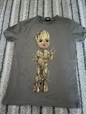 Buy Children’s Next Groot T-shirt - Guardians Of The Galaxy - Age 11 Years • 1£