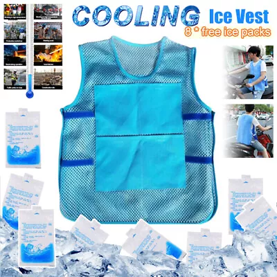 Buy Summer Cooling Vest Outdoor Ice Cooler Clothing 8 Ice Bag Mesh Sunstroke Prevent • 9.99£