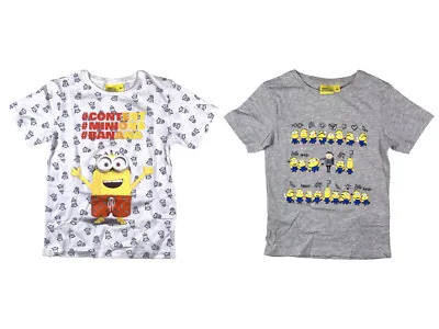 Buy Boys Official Minions Despicable Me 2 Pack Of T-Shirts Children's Kids Ages 3  4 • 7.99£