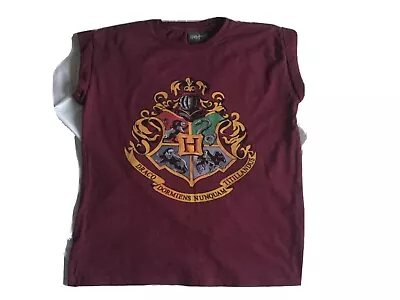 Buy Ladies Womans Girls Burgandy Hufflepuff Hogwarts Harry Potter T Shirt Size 10 • 9.99£