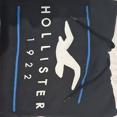 Buy Mens Hollister Hoodie Large • 0.99£