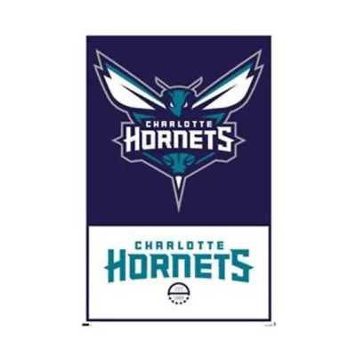 Buy Impact Merch. Poster: NBA Charlotte Hornets - Logo 610mm X 915mm #48 • 8.19£
