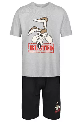 Buy Mens Character Short Pyjamas Looney Tunes Busted Pj Set Night Wear M-2xl New • 11.99£