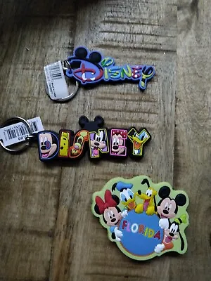 Buy Disney Keyrings /florida Magnets From Orlando New  • 3.99£