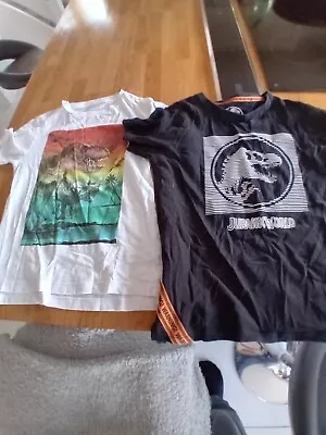 Buy 2x Dinosaur T Shirts Boys Age 7-8. 1 Official Jurassic World 1x Next T Shirt VGC • 4.29£