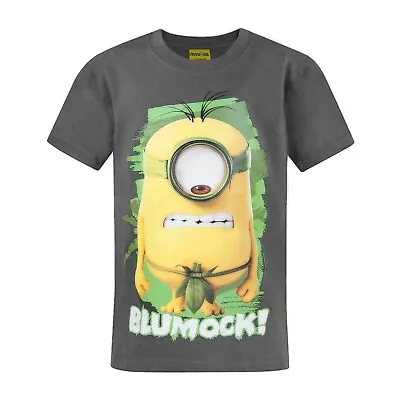 Buy Minions Official Childrens/Kids Blumock T-Shirt NS4986 • 13.12£