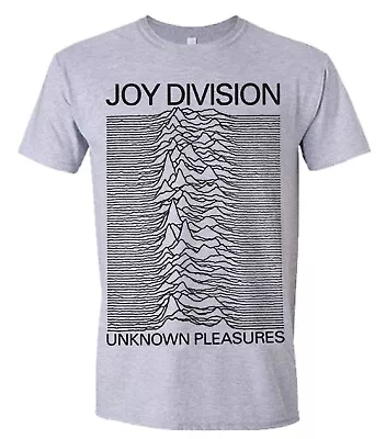 Buy JOY DIVISION - UNKNOWN PLEASURES (GREY) GREY T-Shirt Large • 19.11£